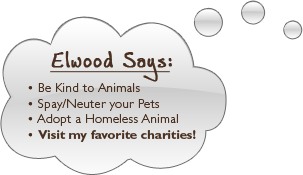 Elwood Says - Spay and nueter your pets!